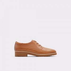 Brown Aldo Cerquedaflex Oxford shoe | 765281-XJN