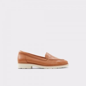 Brown Aldo Rheildanflex Loafer | 501927-BKH