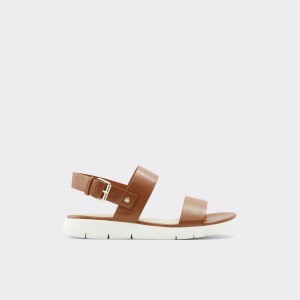 Brown Aldo Woema Flat sandal | 523196-JUI