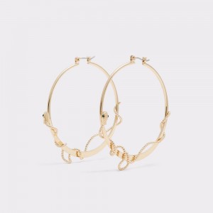 Dark Green Aldo Jessielea Hoop earrings | 218693-IBY