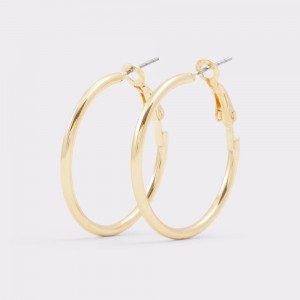 Gold Aldo Aceassa Hoop earrings | 068143-UIS