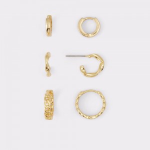 Gold Aldo Groregan Hoop earrings | 459830-LKS