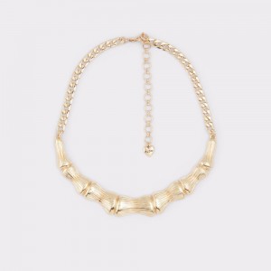 Gold Aldo Gwaetlan Necklace | 620895-KPI