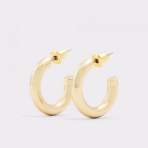 Gold Aldo Jenniaa Hoop earrings | 956483-RZF