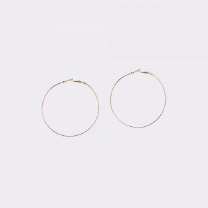 Gold Aldo Leota Hoop earrings | 913465-GCI