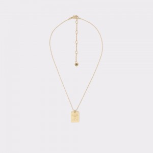 Gold Aldo Parkside Necklace | 697423-XMJ