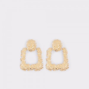 Gold Aldo Preabaen Earrings | 428136-IFW