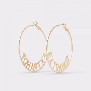 Gold Aldo Skerth Earrings | 512983-AIF