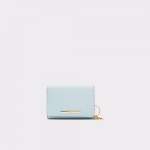 Light Blue Aldo Iconipouch Wallet | 523641-EIV