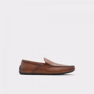 Light Brown Aldo Leibelt Driving shoe | 827063-XTB