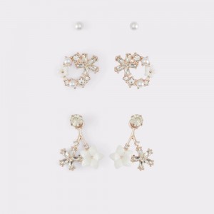 Rose Gold Aldo Pinak Earrings | 294375-XIG