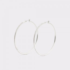 Silver Aldo Eryri Hoop earrings | 084291-ZKM