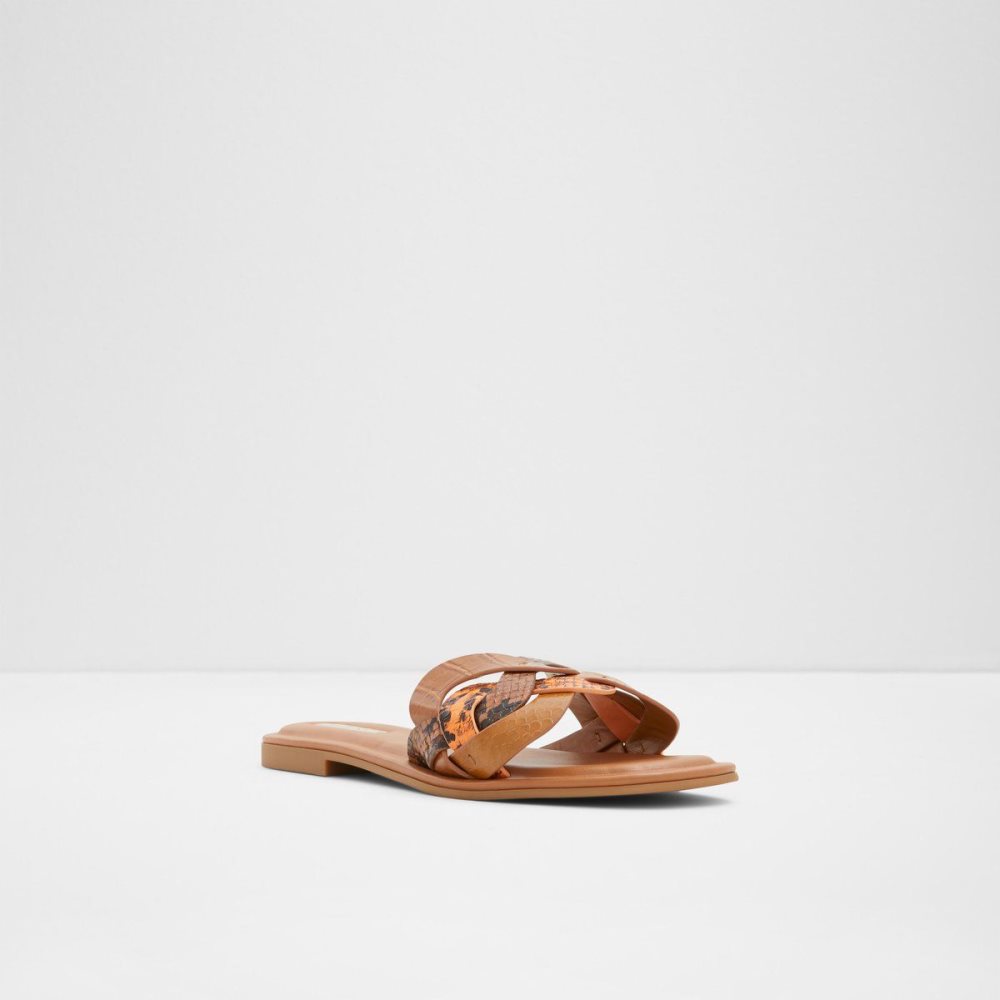 Brown Aldo Adwilaviel Slide sandal | 976234-SYN