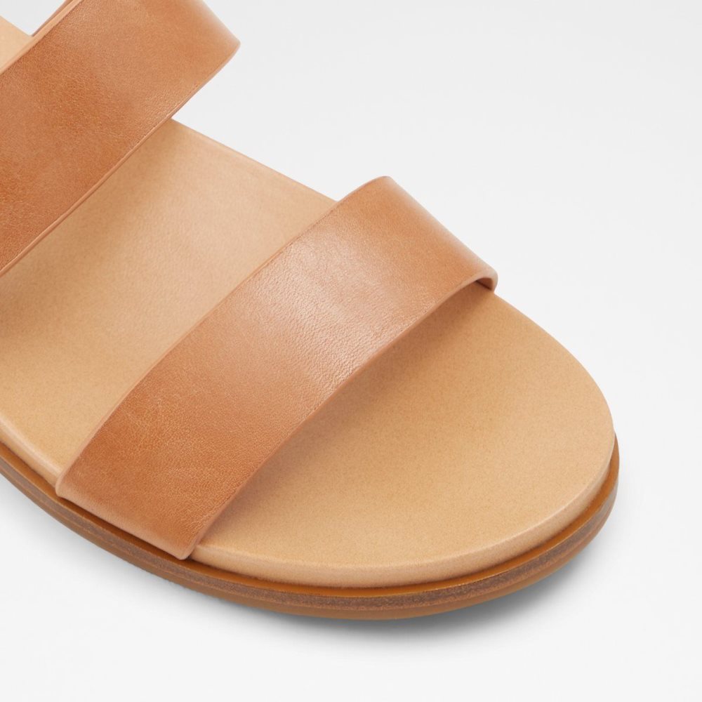 Brown Aldo Aliawen Slide sandal | 016487-YNO