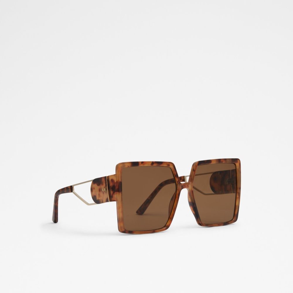 Brown Aldo Annerelia Sunglasses | 801493-TNM