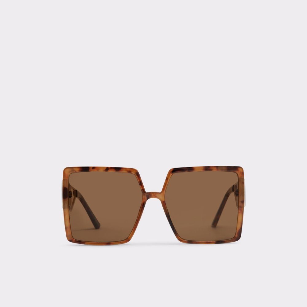 Brown Aldo Annerelia Sunglasses | 801493-TNM