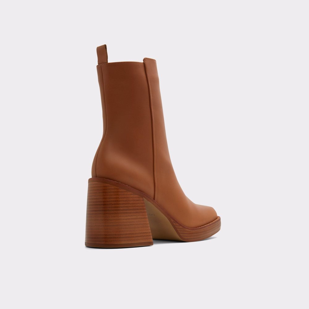 Brown Aldo Benrubin Ankle boot - Block heel | 107624-HPL