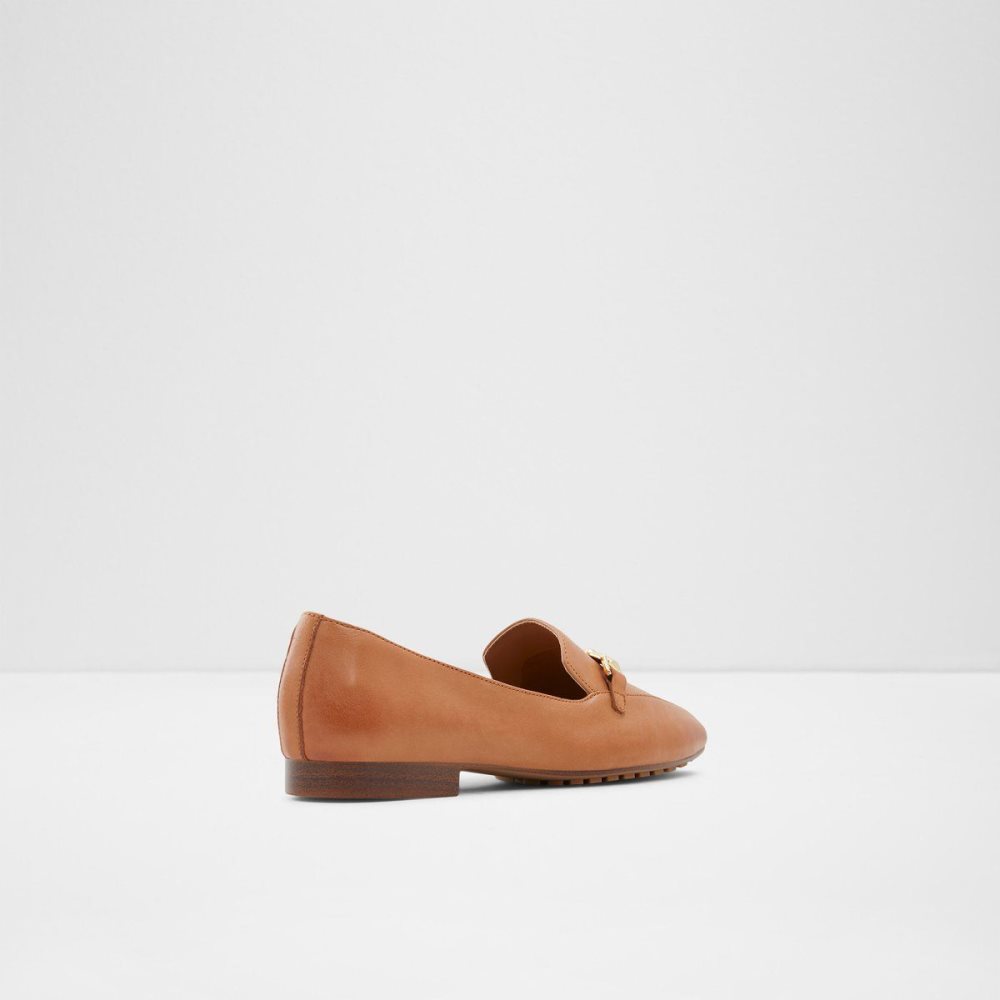 Brown Aldo Boska Loafer | 654873-JCU