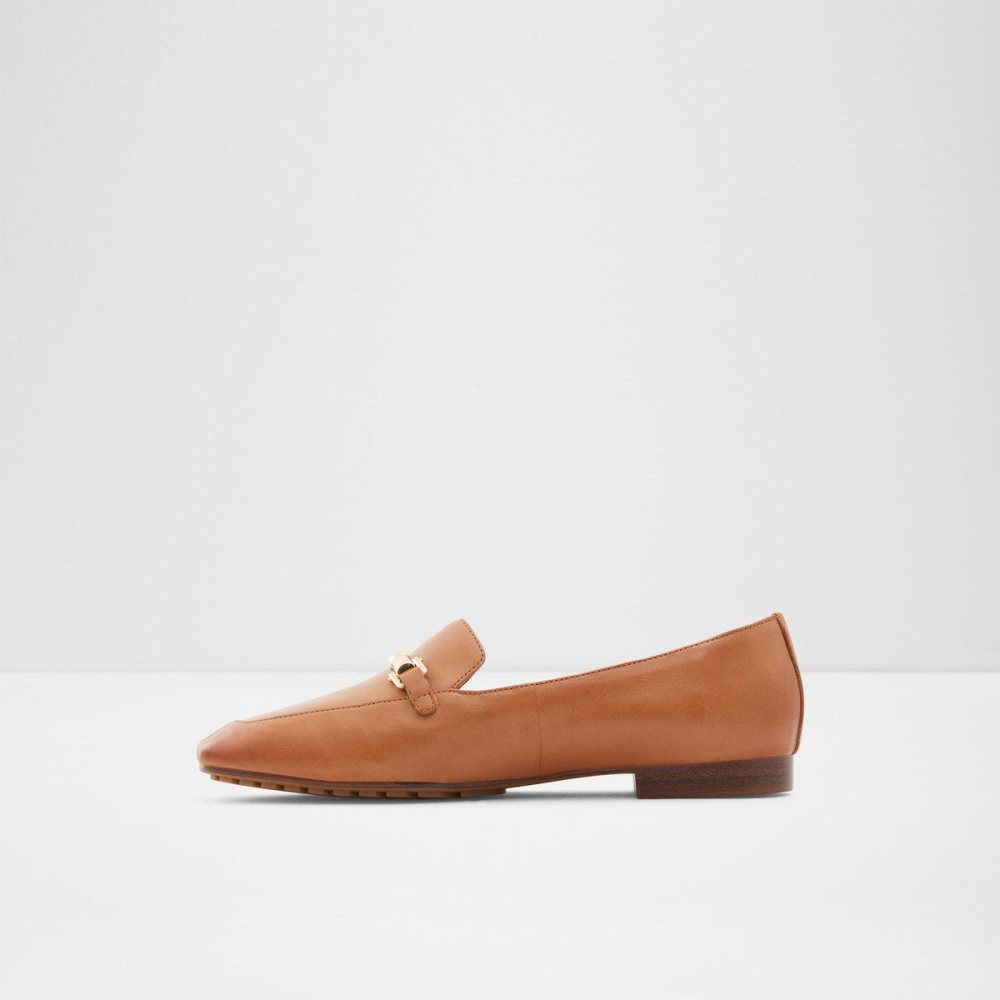 Brown Aldo Boska Loafer | 654873-JCU