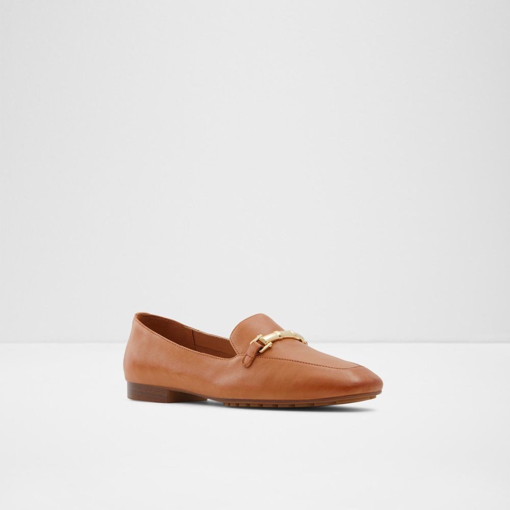 Brown Aldo Boska Loafer | 654873-JCU