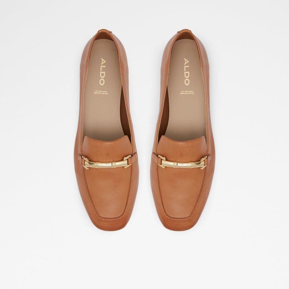 Brown Aldo Boska Loafer | 654873-JCU