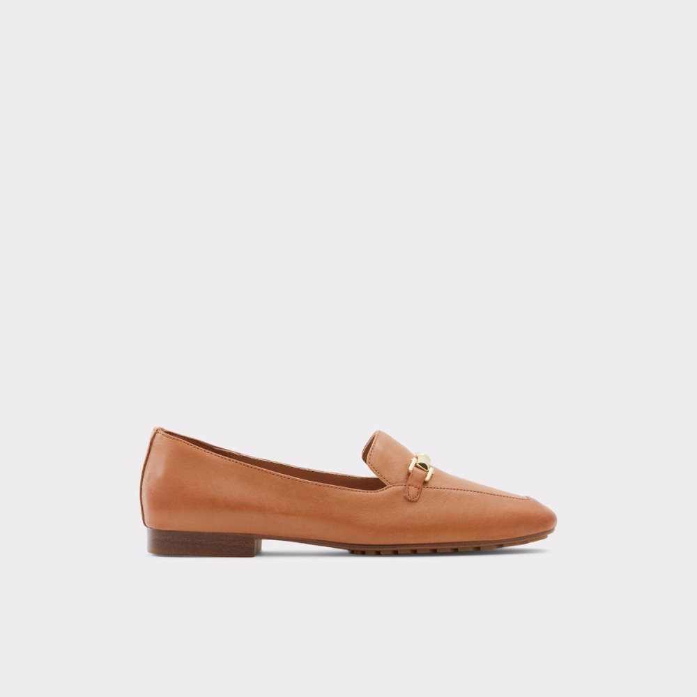 Brown Aldo Boska Loafer | 654873-JCU