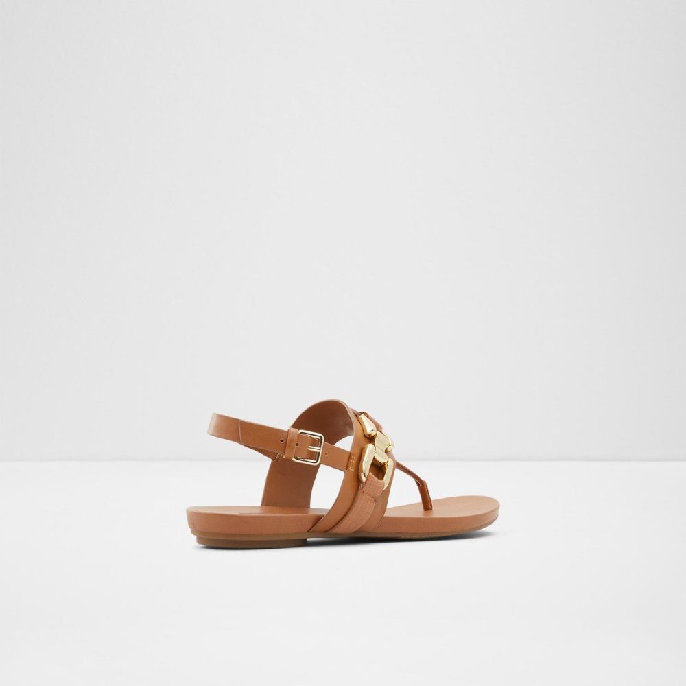 Brown Aldo Gannamaryn T-strap sandal | 945083-SXK