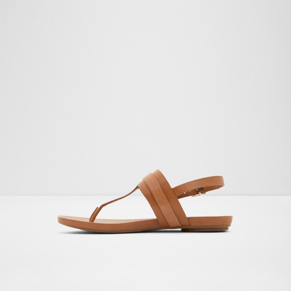 Brown Aldo Gannamaryn T-strap sandal | 945083-SXK