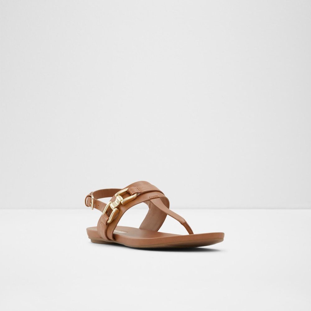 Brown Aldo Gannamaryn T-strap sandal | 945083-SXK