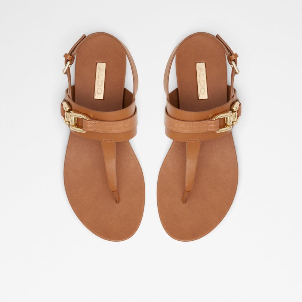 Brown Aldo Gannamaryn T-strap sandal | 945083-SXK