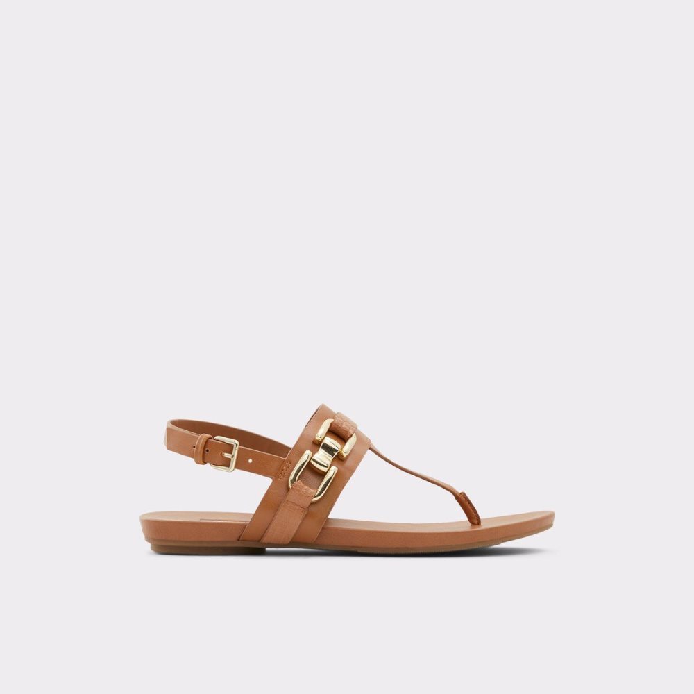 Brown Aldo Gannamaryn T-strap sandal | 945083-SXK