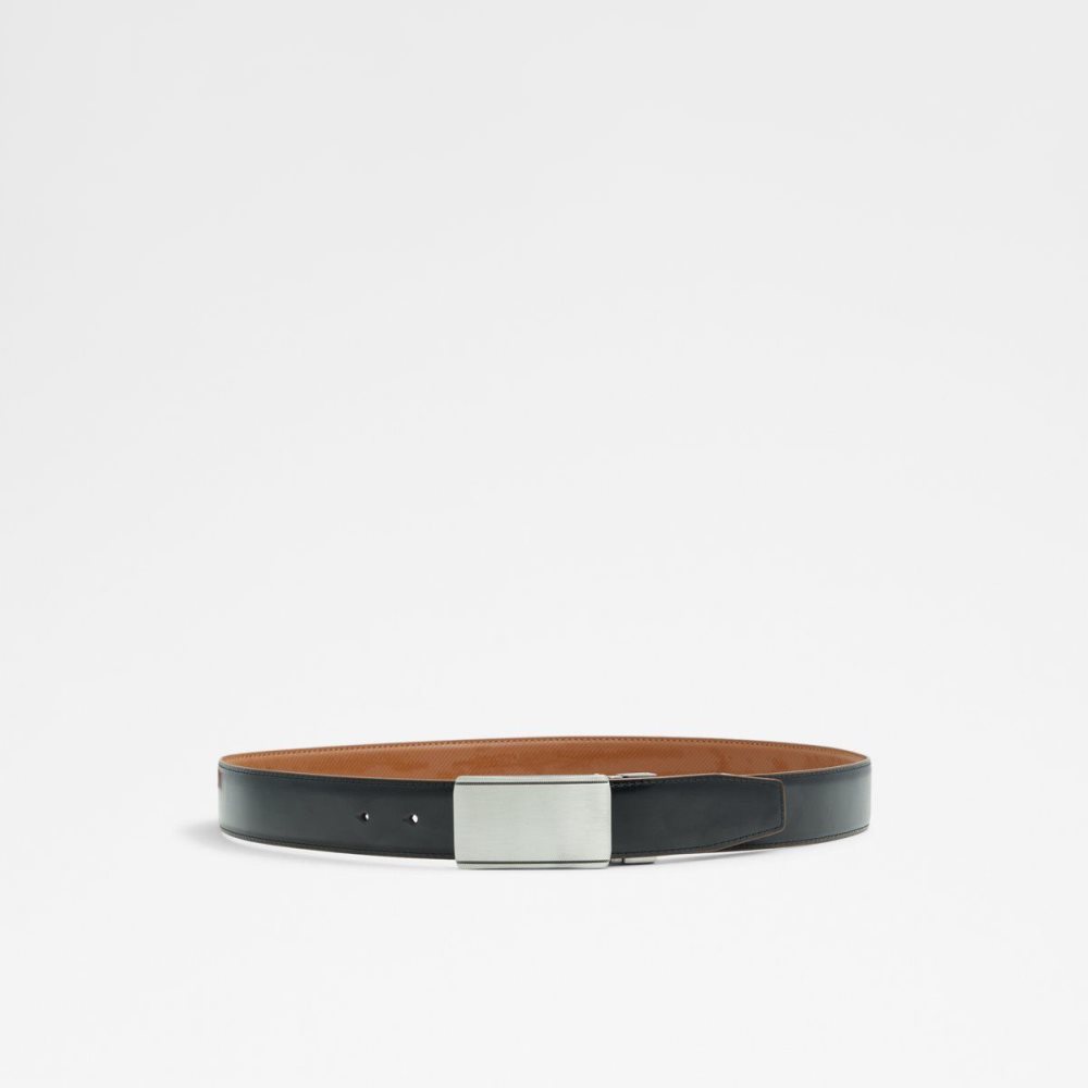 Brown Aldo Griseus Belt | 279650-YTK