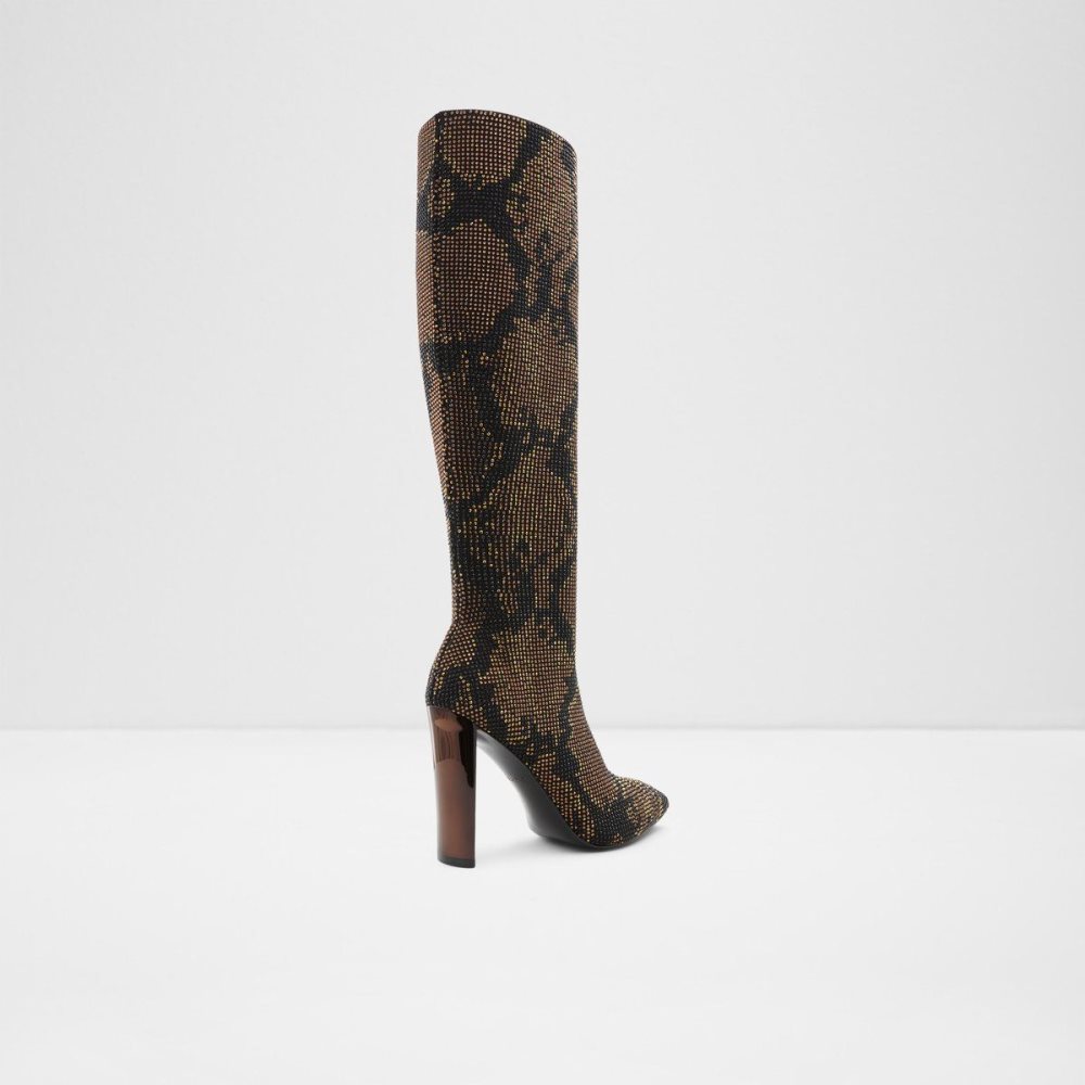 Brown Aldo Gwenith Knee-high boot - Block heel | 401578-RJD