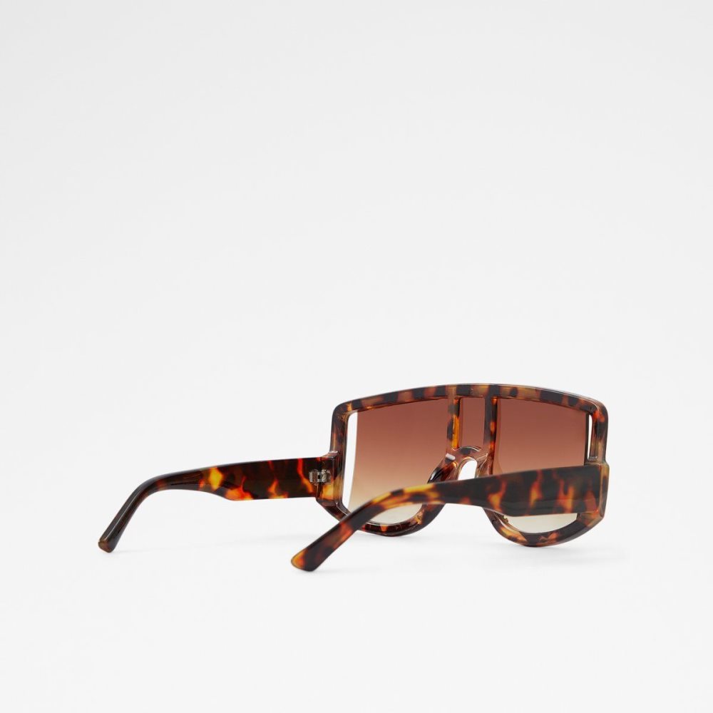 Brown Aldo Javabriclya Shield sunglasses | 742860-RHB