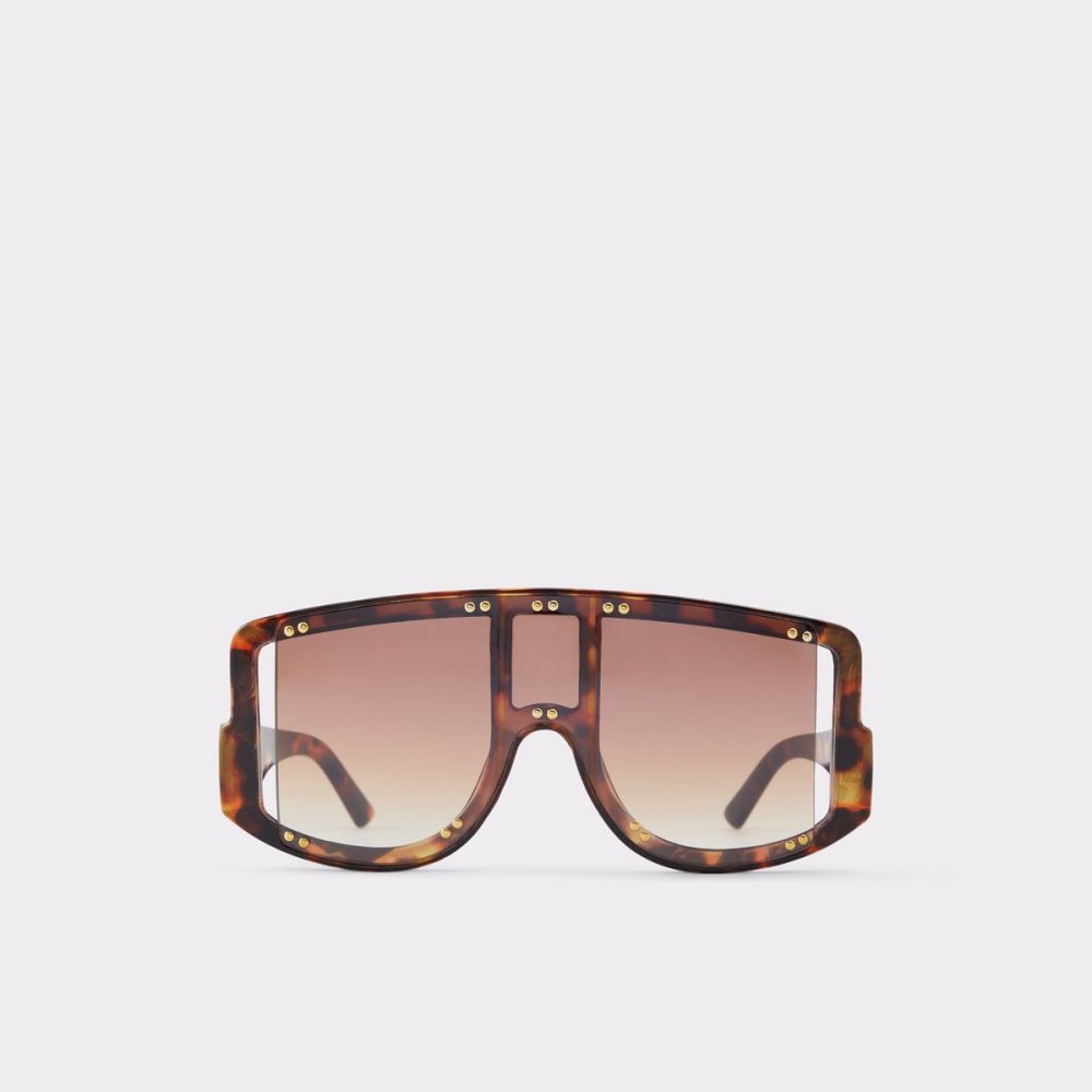 Brown Aldo Javabriclya Shield sunglasses | 742860-RHB