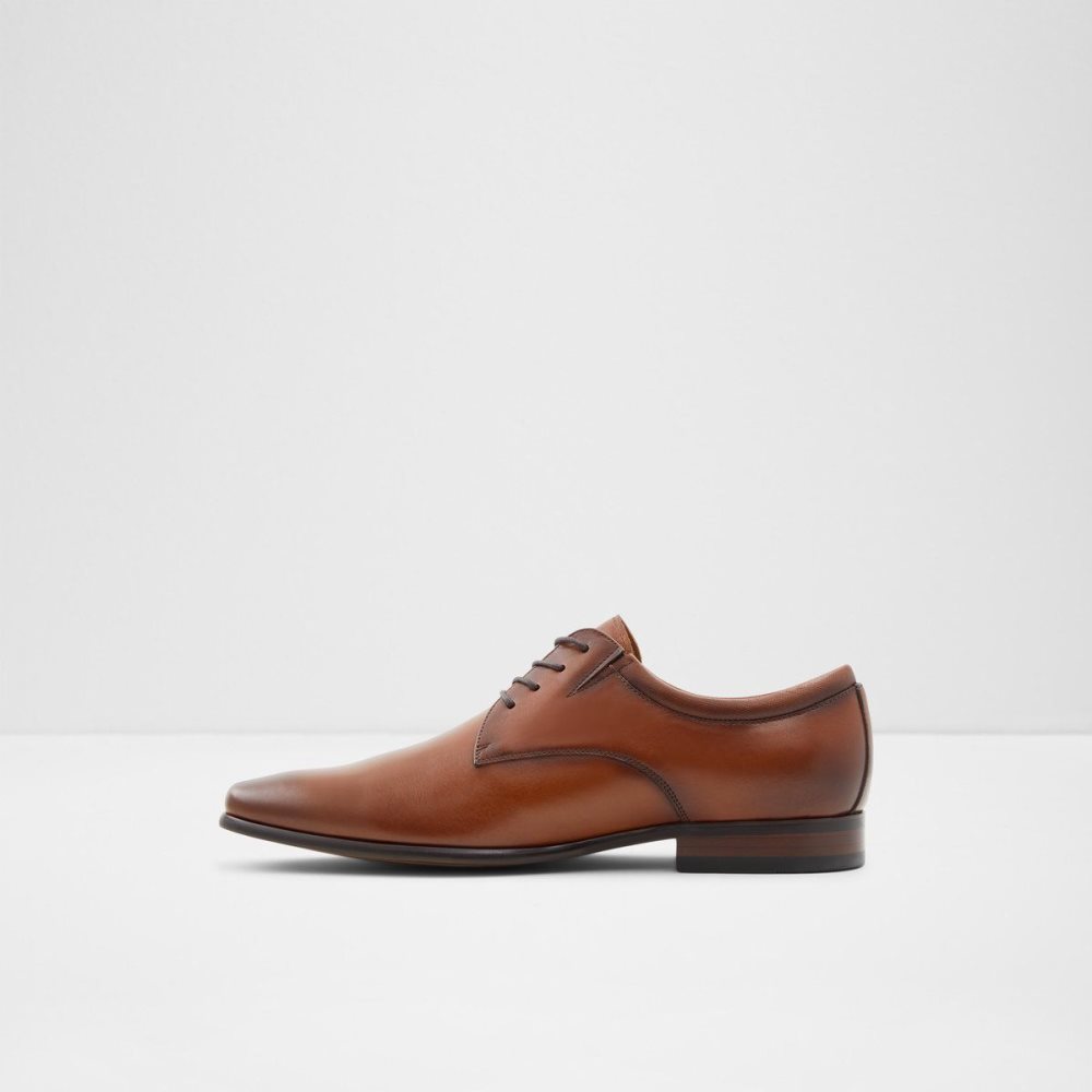 Brown Aldo Noicien-w Derby shoe | 924706-PTY