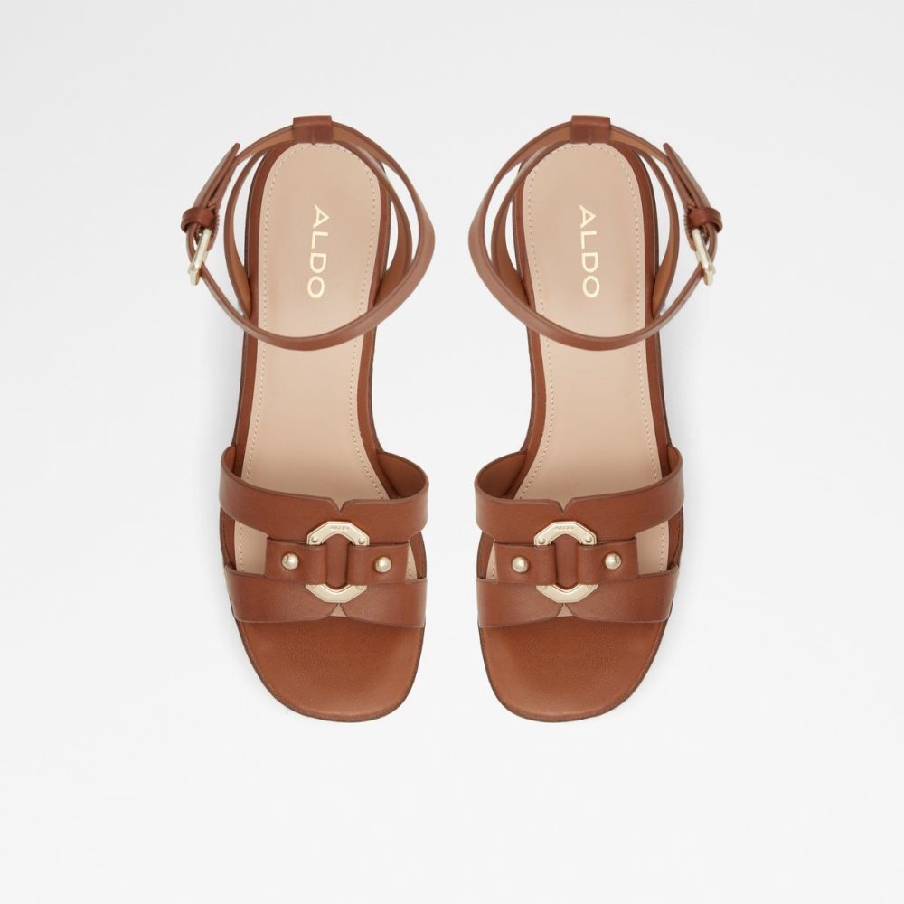 Brown Aldo Onan Wedge sandal - Wedge heel | 435972-HXM