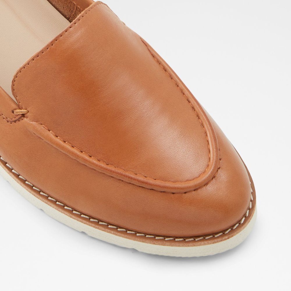 Brown Aldo Rheildanflex Loafer | 501927-BKH