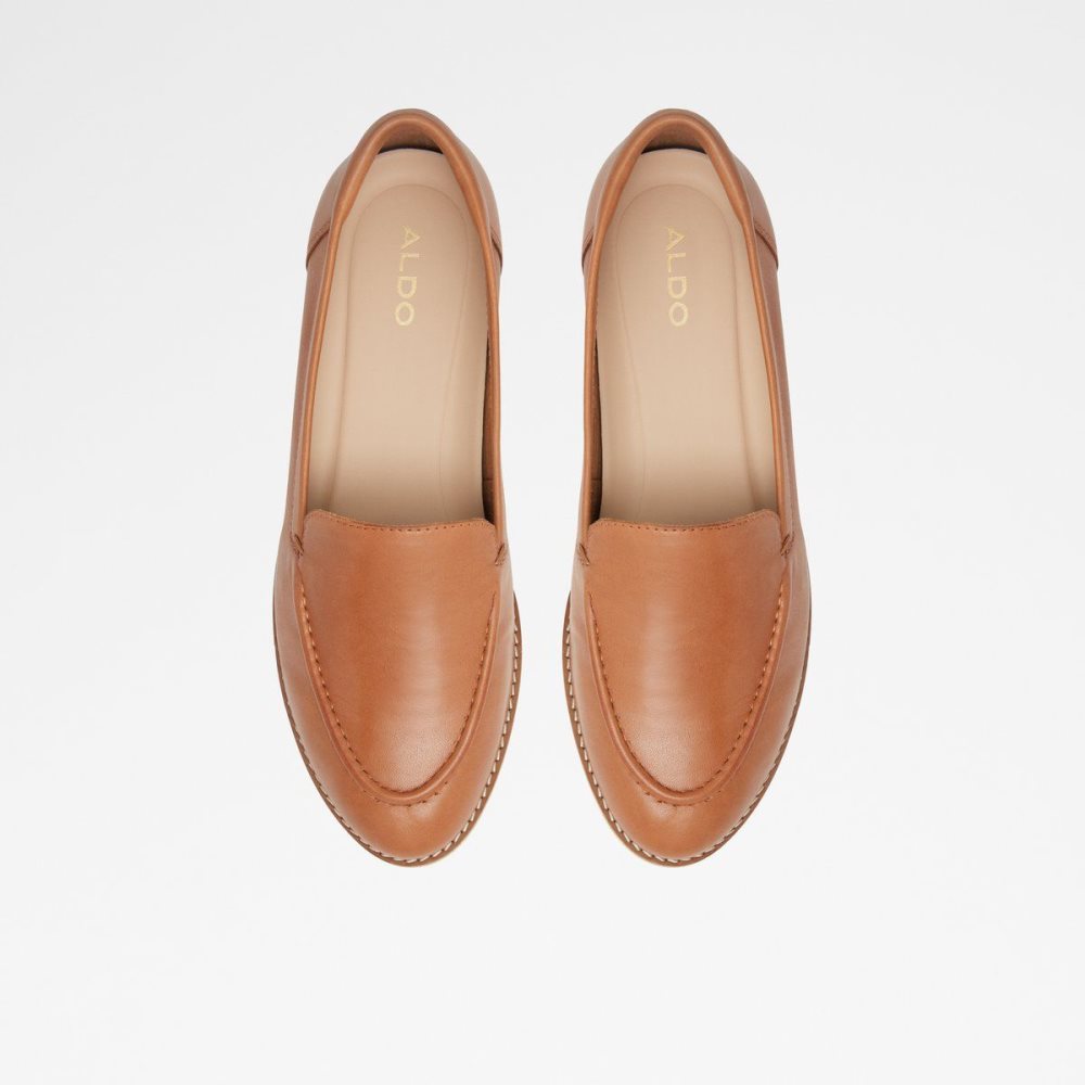 Brown Aldo Rheildanflex Loafer | 501927-BKH