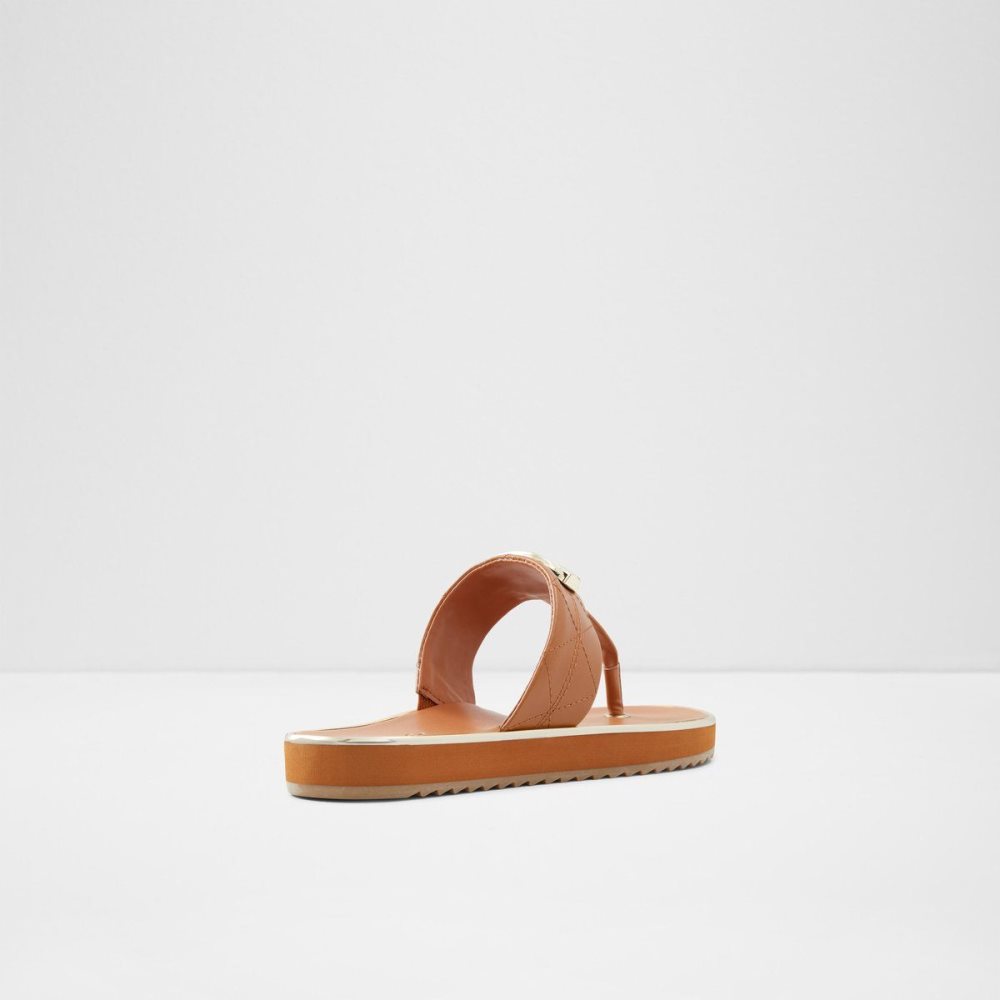 Brown Aldo Searene Flip flop | 726034-NRK