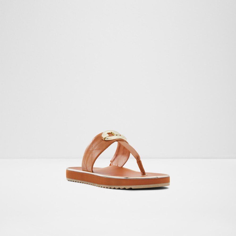 Brown Aldo Searene Flip flop | 726034-NRK