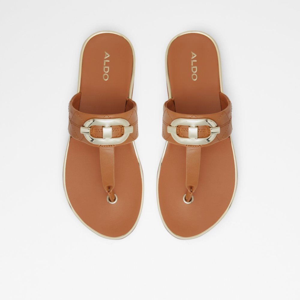 Brown Aldo Searene Flip flop | 726034-NRK