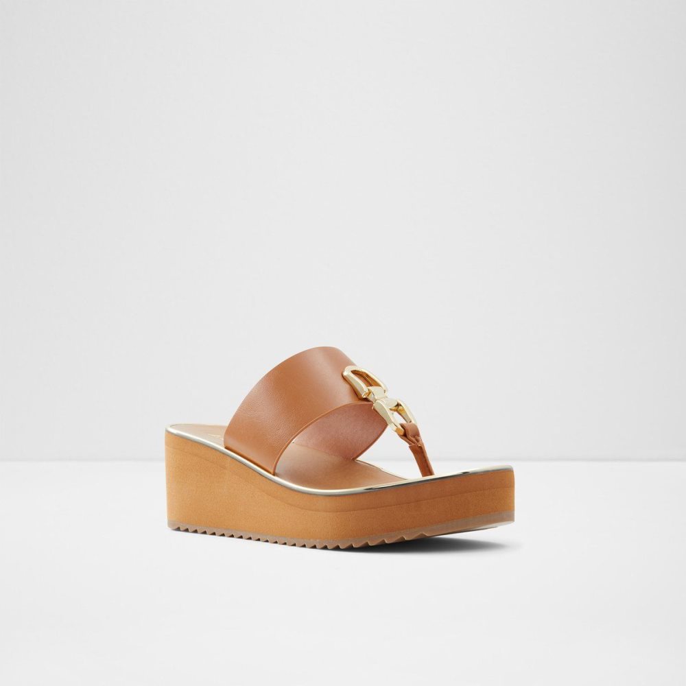 Brown Aldo Toea Thong sandal - Wedge heel | 792315-FJY