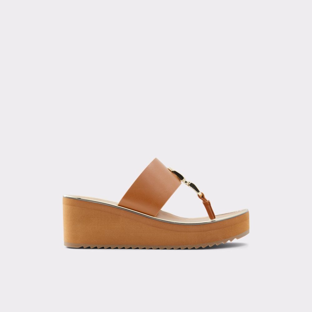 Brown Aldo Toea Thong sandal - Wedge heel | 792315-FJY