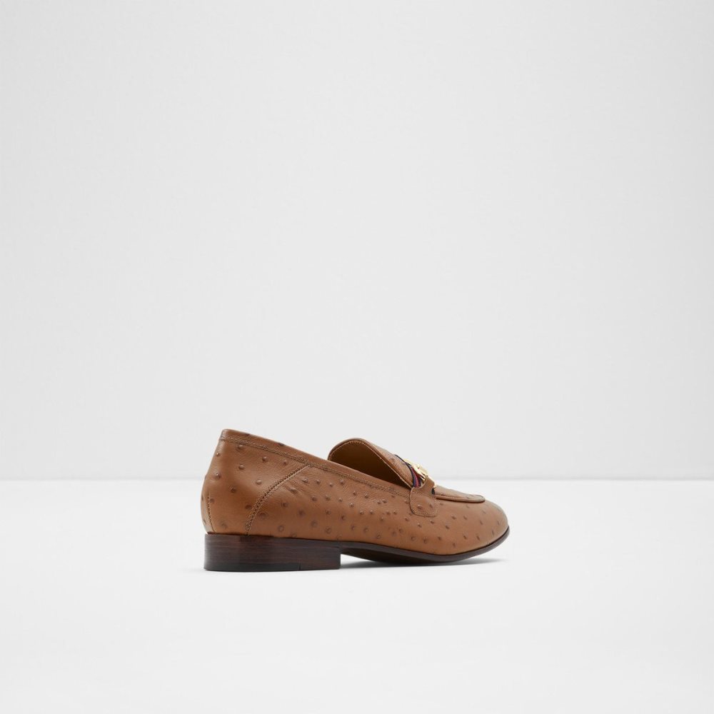 Brown Aldo Trywen Loafer | 258071-TIV