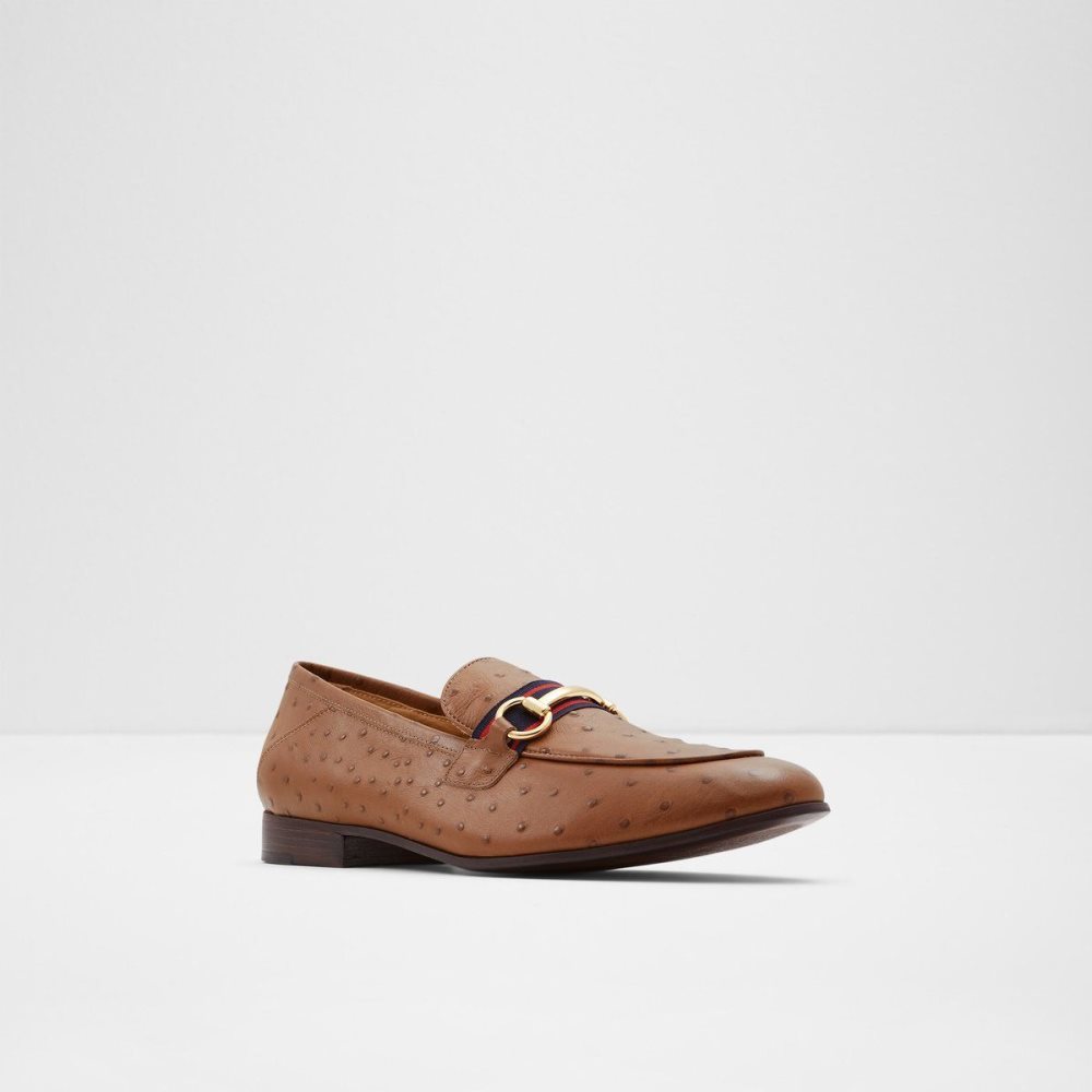 Brown Aldo Trywen Loafer | 258071-TIV