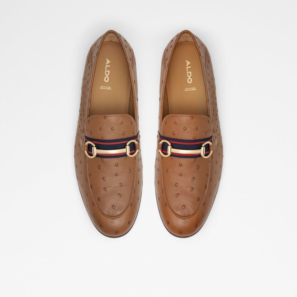 Brown Aldo Trywen Loafer | 258071-TIV