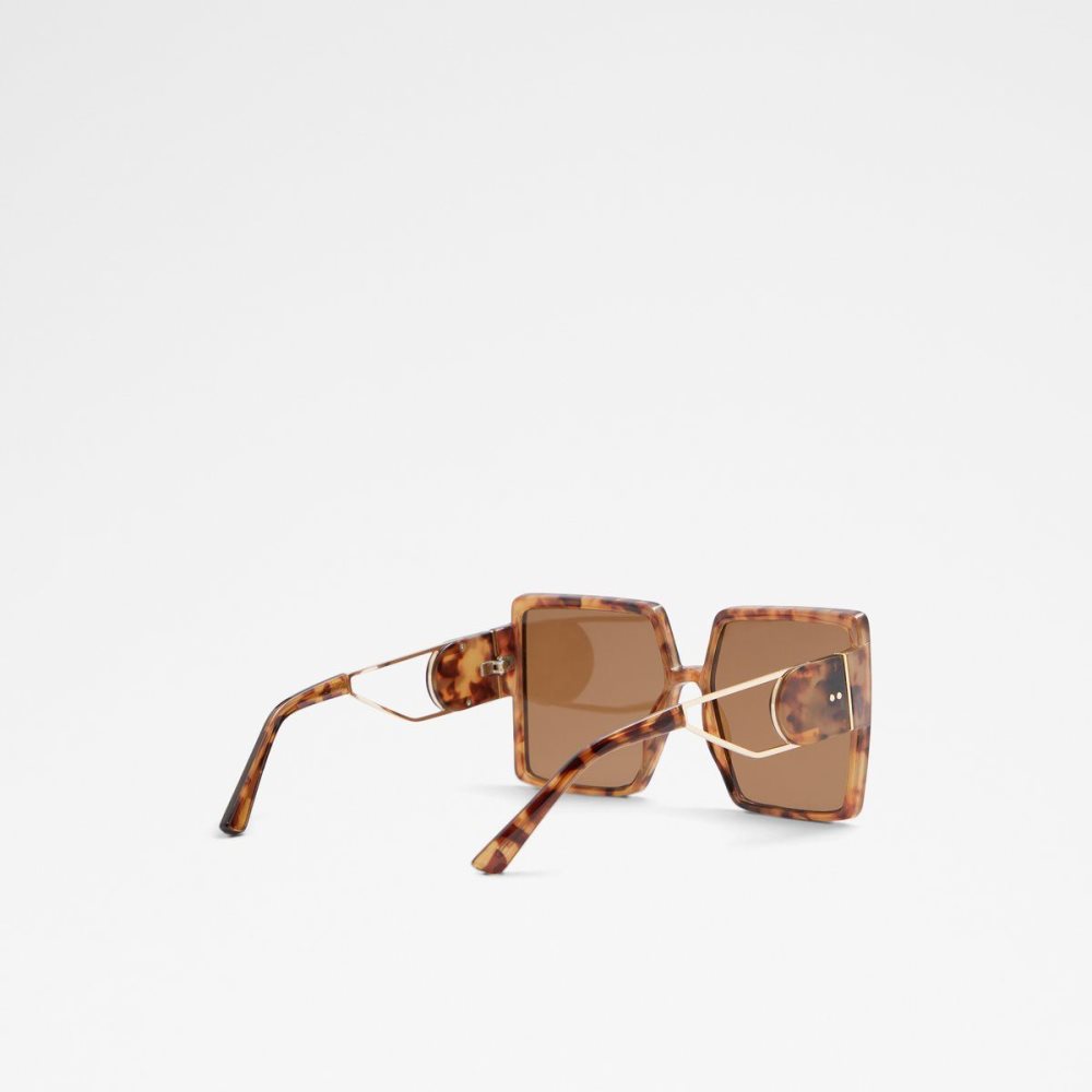 Brown Aldo Ybaledia Square sunglasses | 481095-HKN