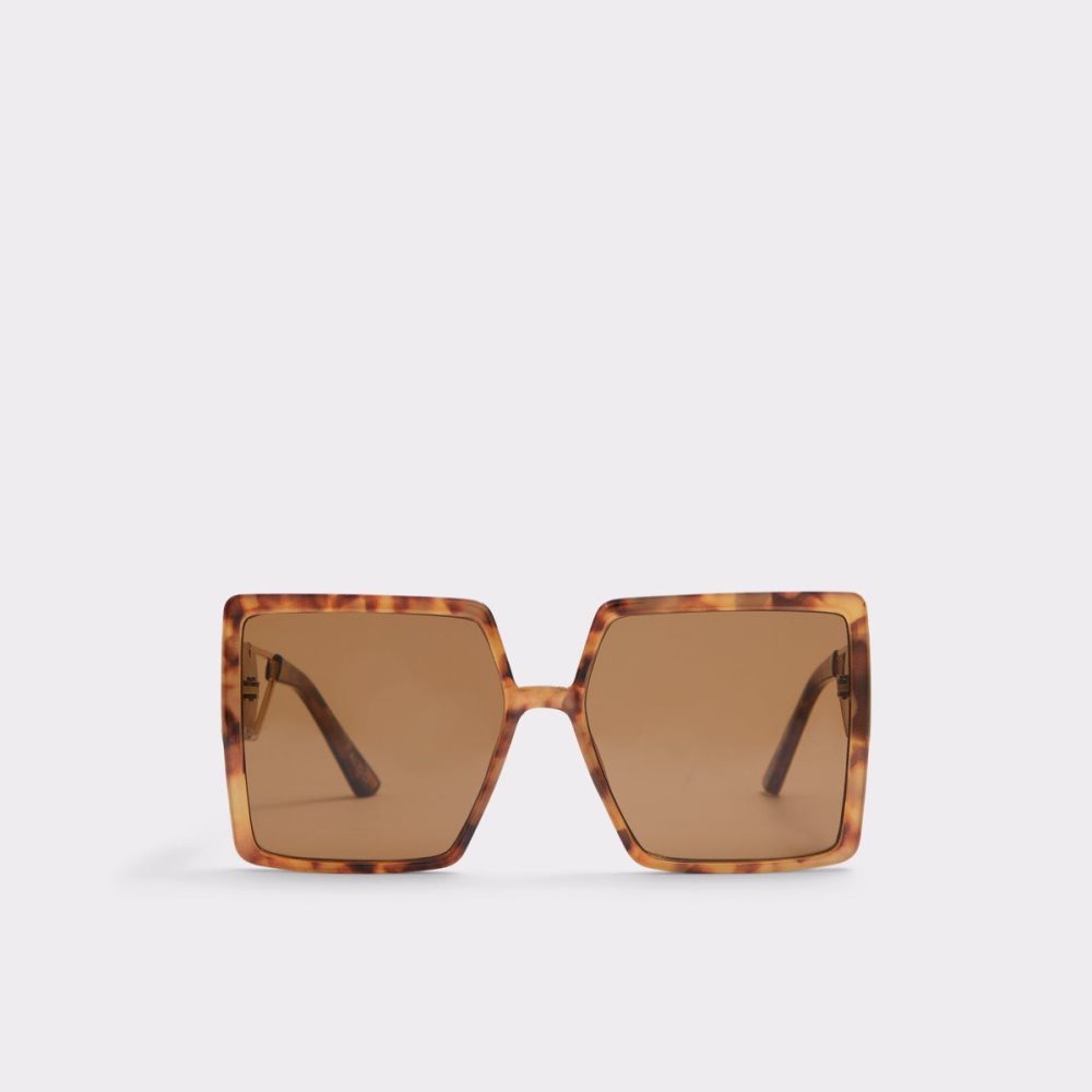 Brown Aldo Ybaledia Square sunglasses | 481095-HKN