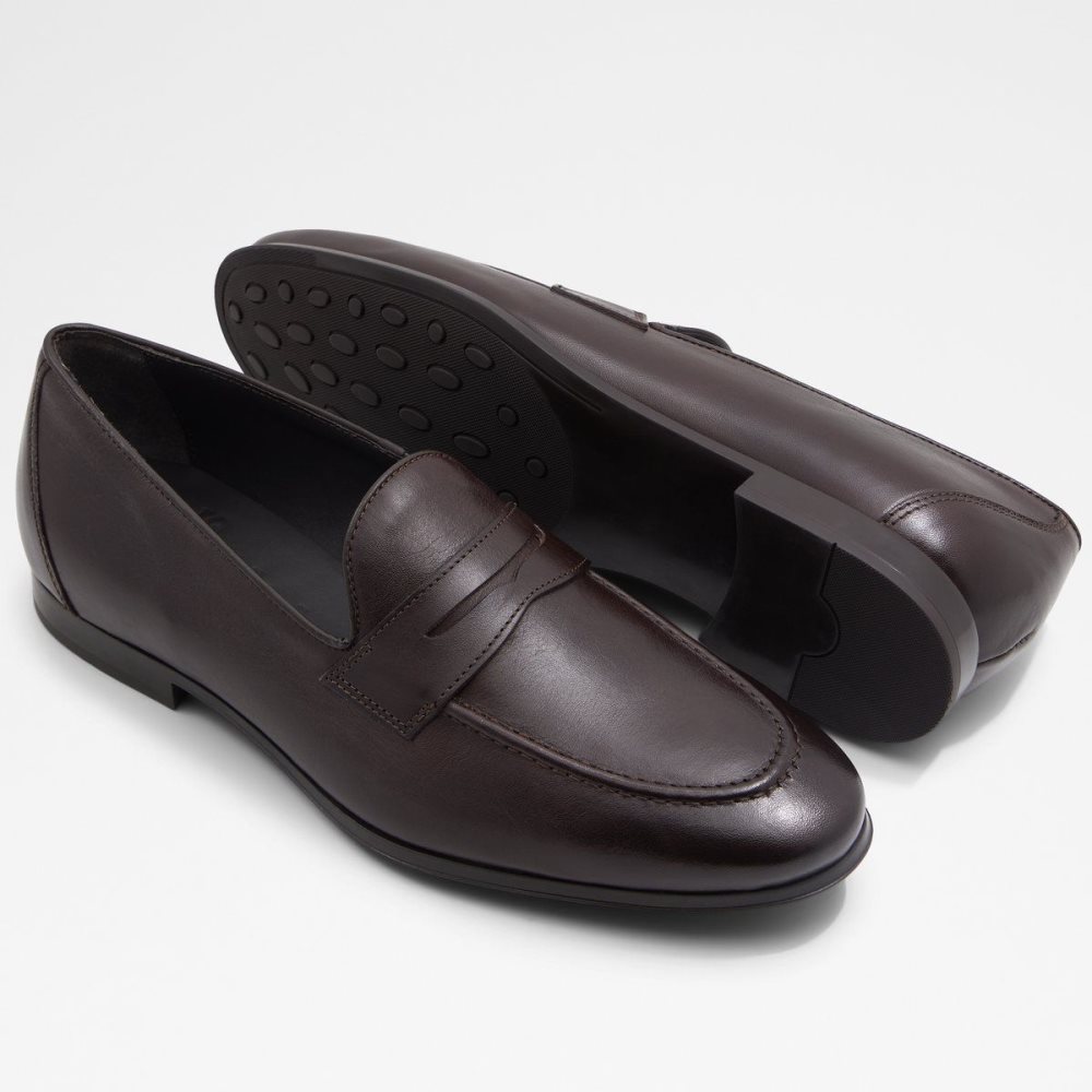 Brown Aldo Zouk Loafer | 971352-NZL